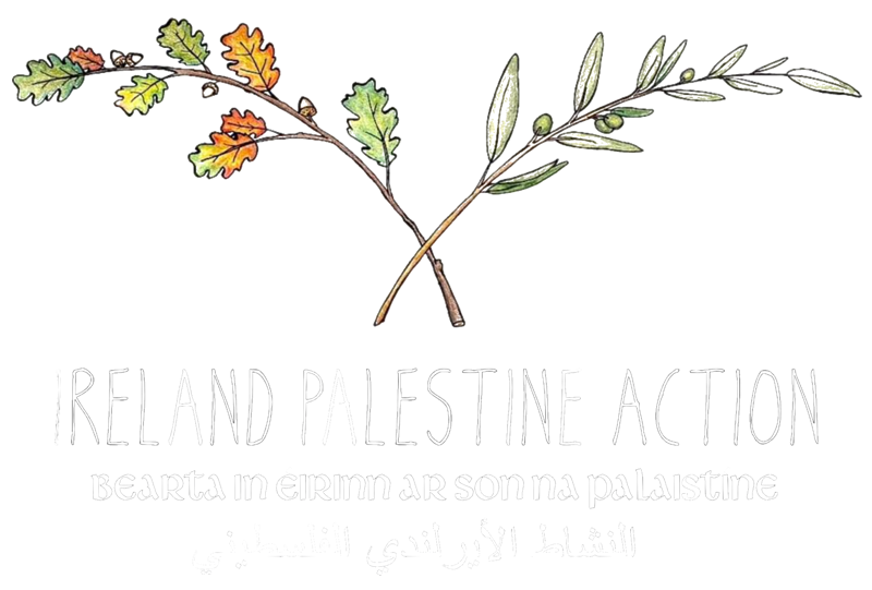 Ireland Palestine Action logo